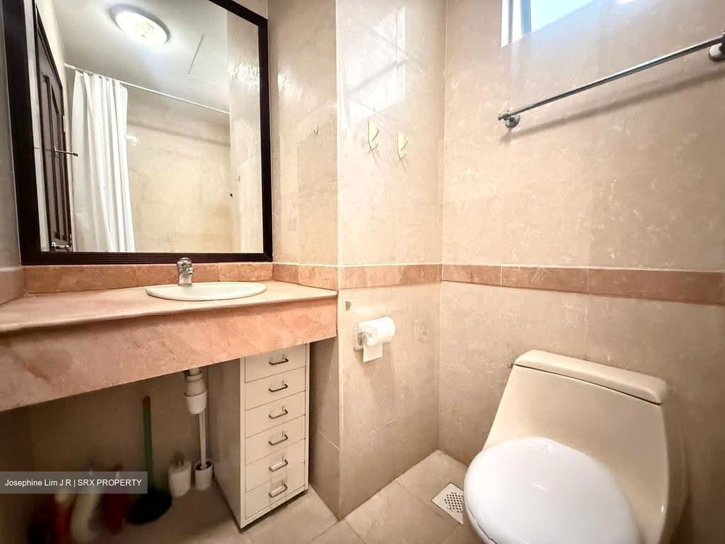 Tanglin Regency (D10), Condominium #613565931
